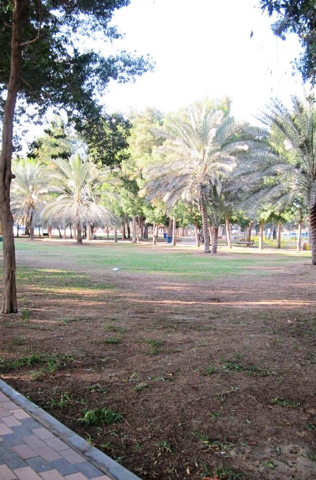 Al Bateen in abu dhabi