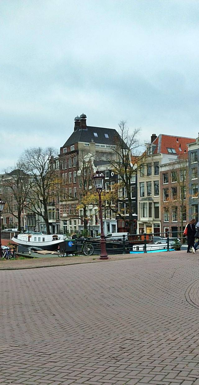 Oost and Plantage in amsterdam