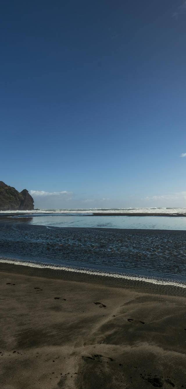 West Auckland and Waitakere in auckland