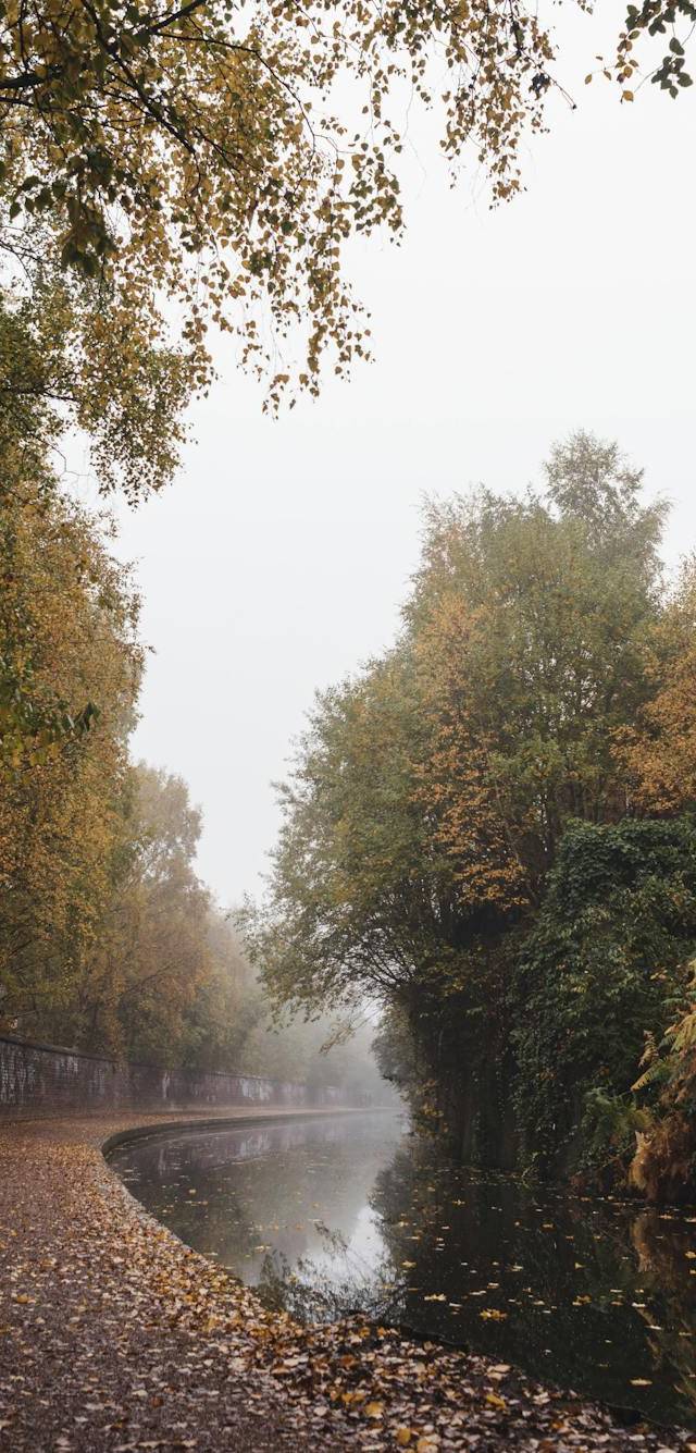 Moseley & Kings Heath in birmingham
