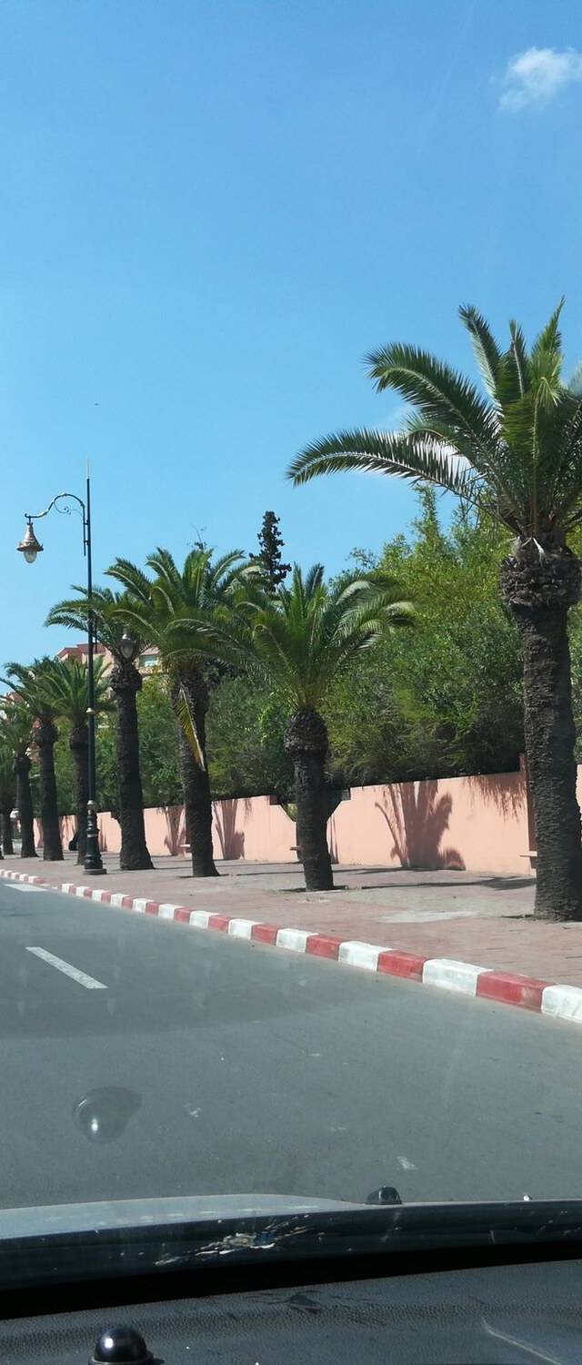 Hivernage in marrakesh
