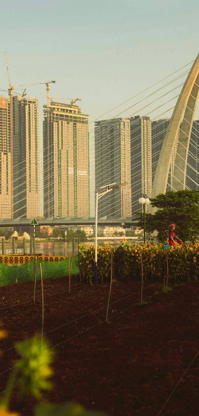 Hai Chau and Bach Dang riverfront in da nang