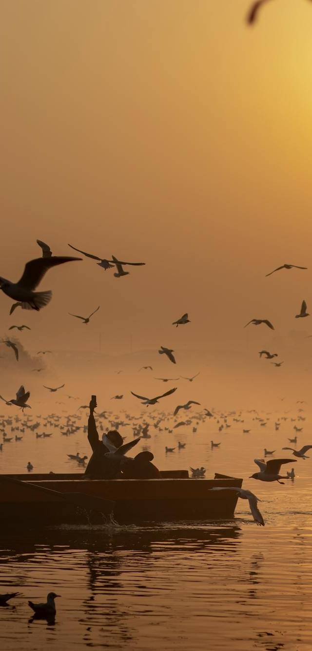 East Delhi and the Yamuna side in delhi