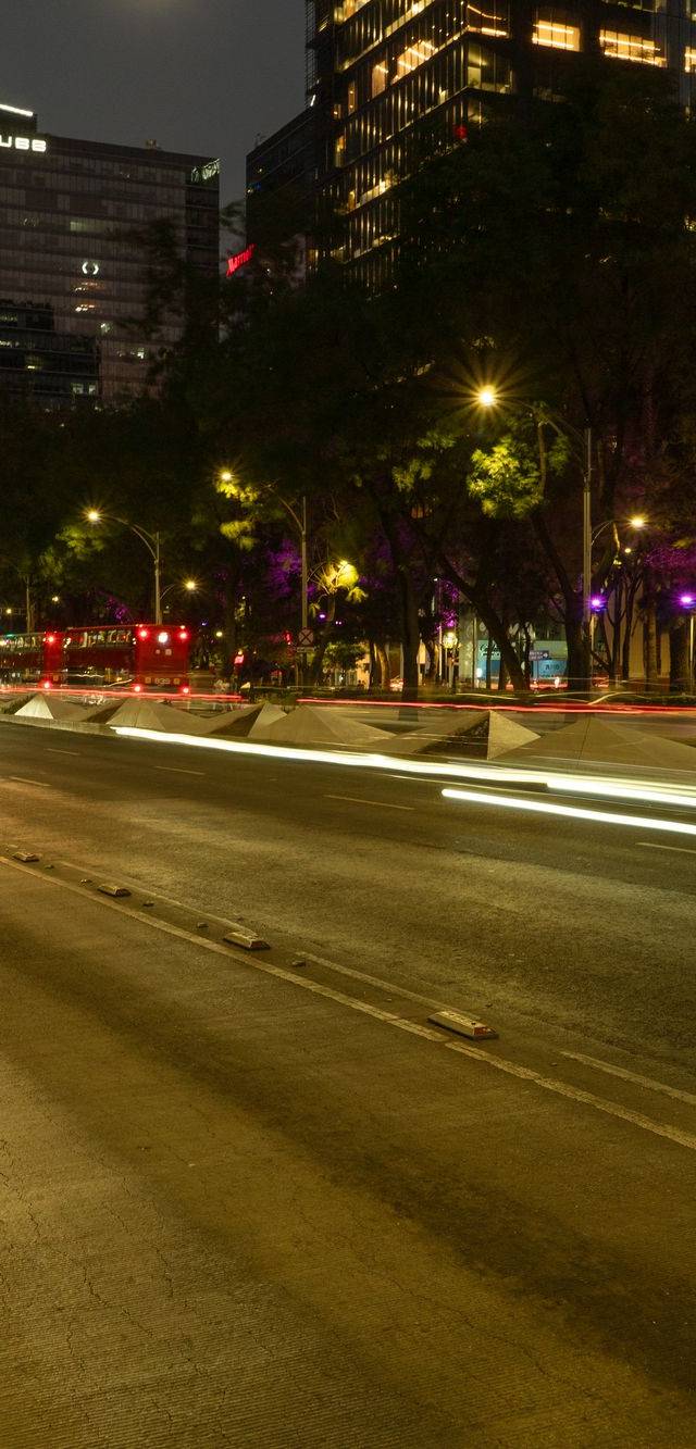 Americana, Lafayette and Chapultepec in guadalajara