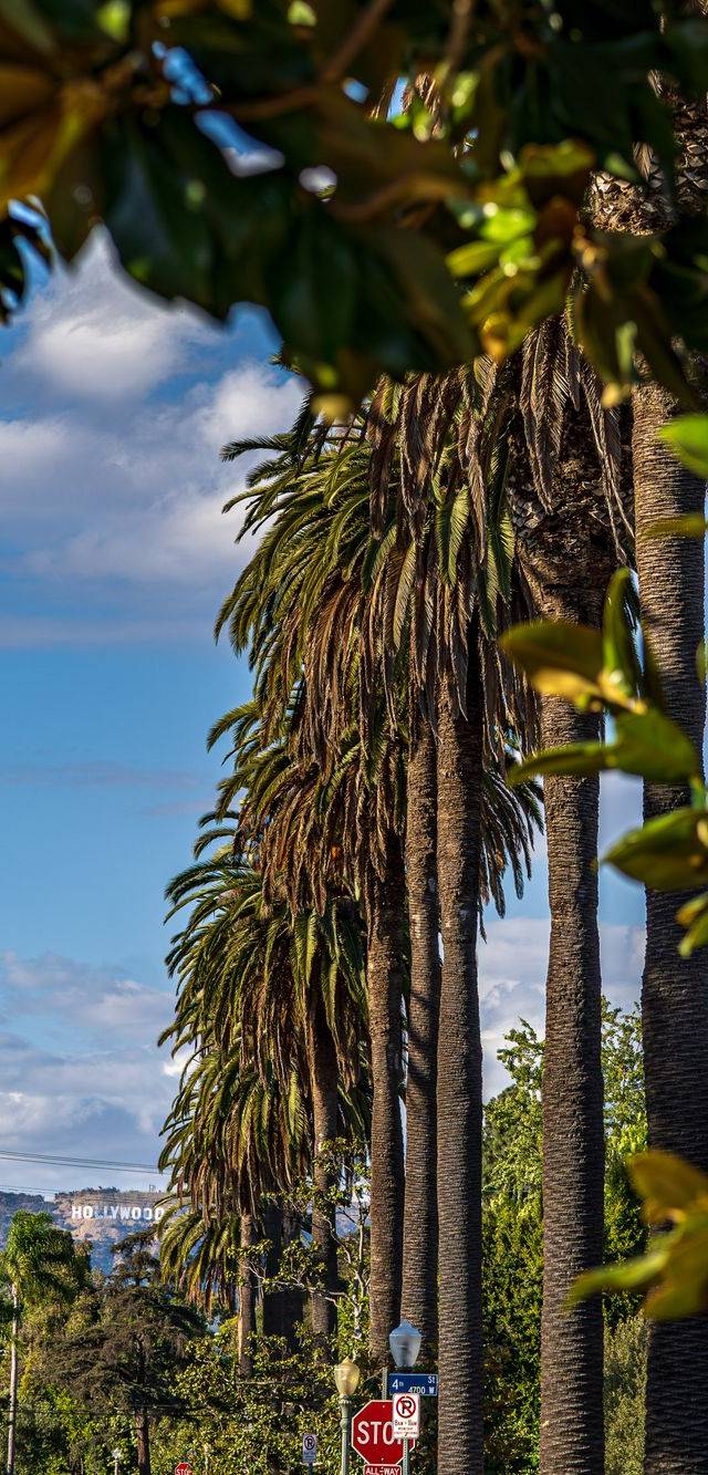 Pasadena and Highland Park in los angeles