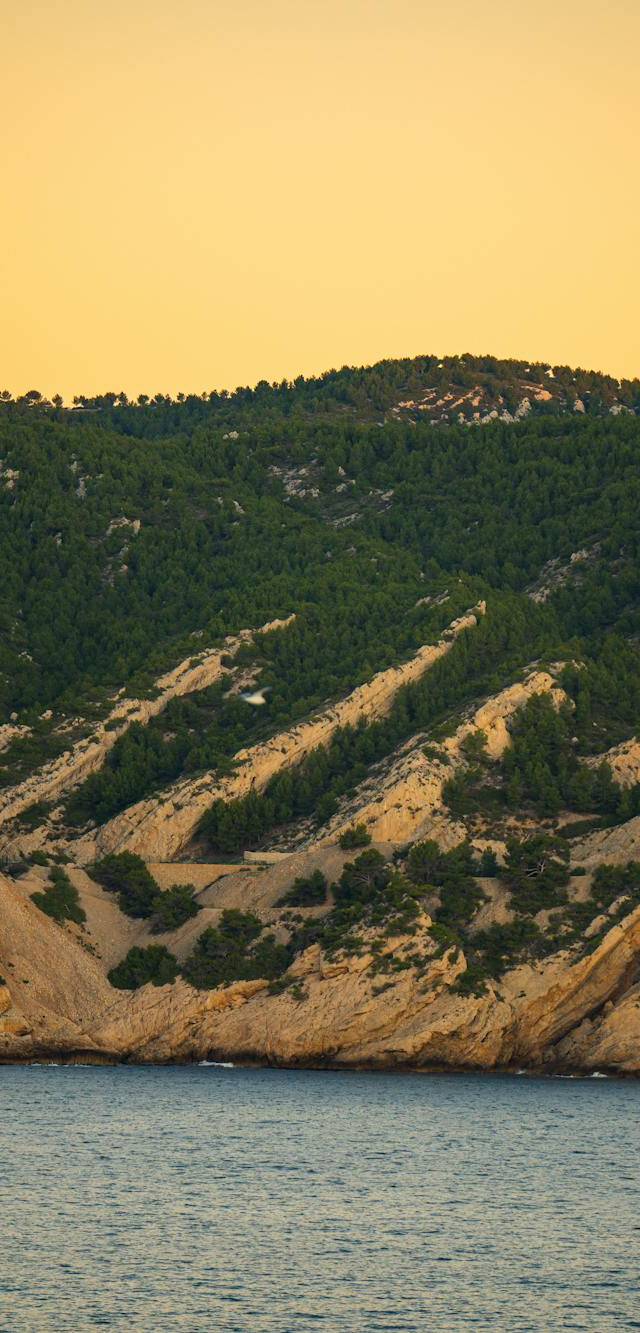 Prado, Pointe Rouge, and the Calanques edge in marseille
