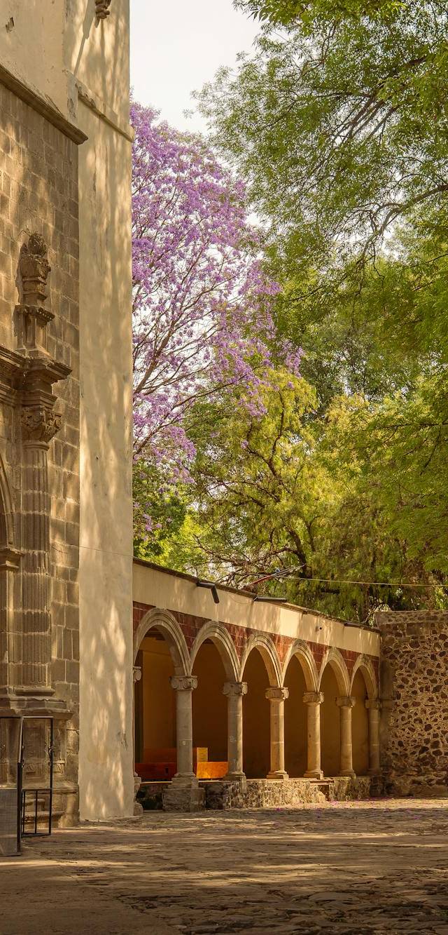 Coyoacan and San Angel in mexico city