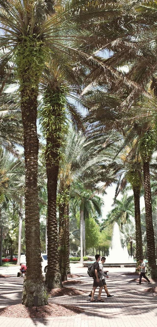 Coral Gables in miami
