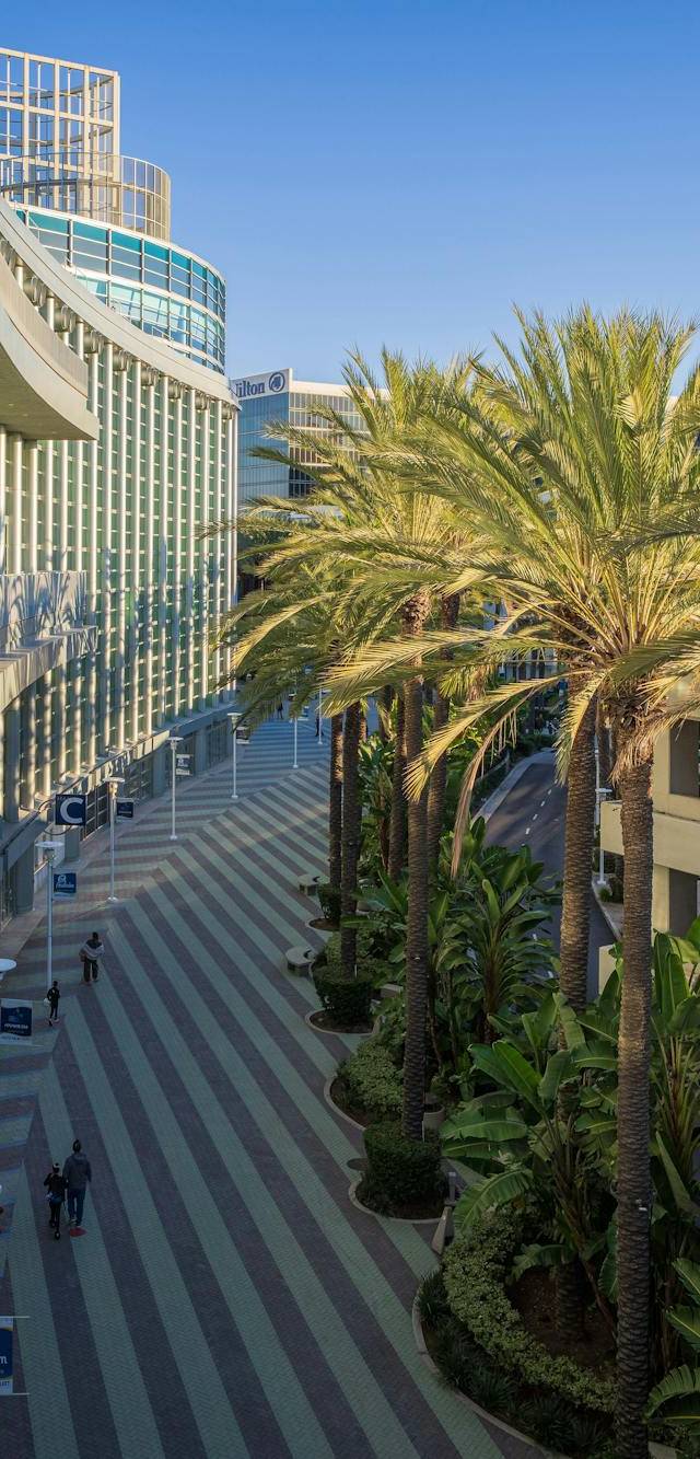 International Drive and Convention Center in orlando