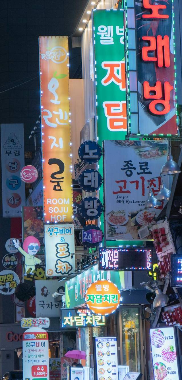 Jung, Myeongdong & Namsan in seoul