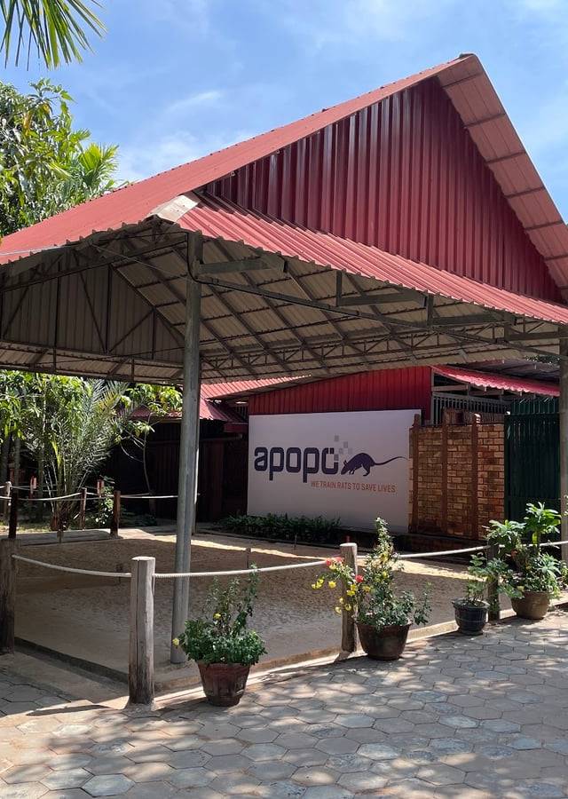 APOPO Visitor Center in Siem Reap