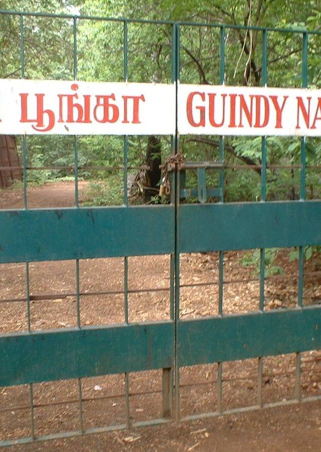 Guindy National Park in Chennai