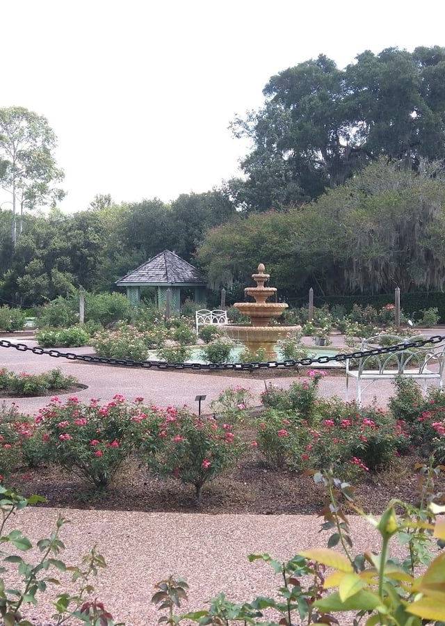 Harry P. Leu Gardens in Orlando