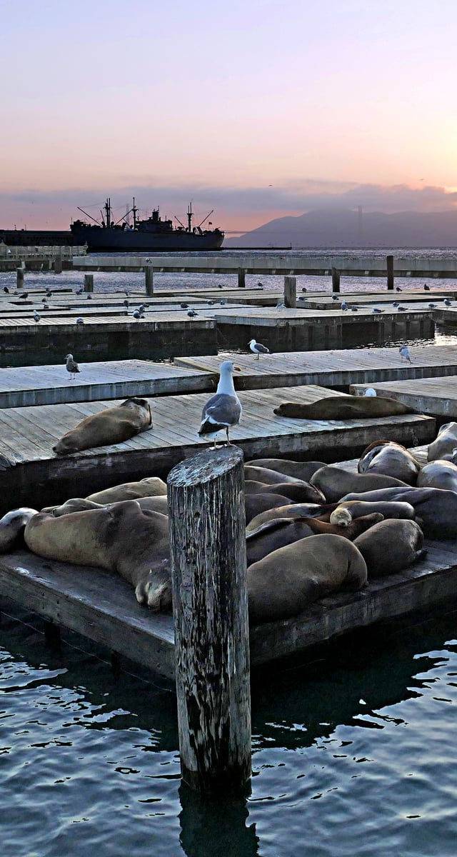 Fisherman's Wharf and Pier 39 in San Francisco