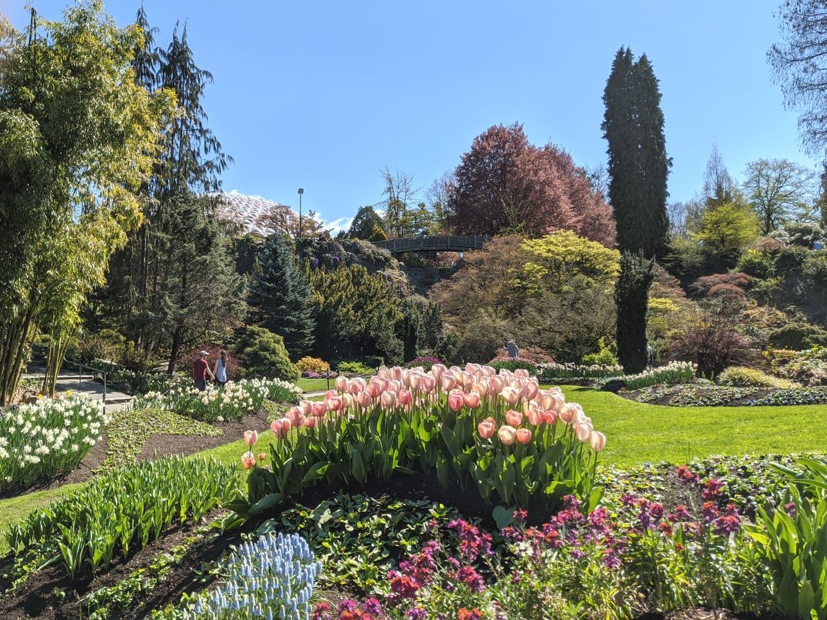 Queen Elizabeth Park in Vancouver