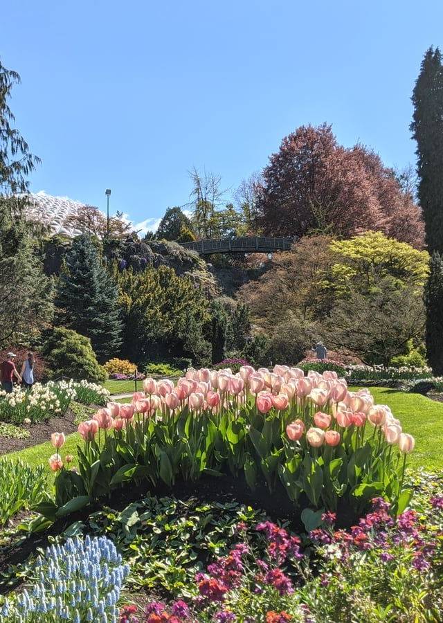 Queen Elizabeth Park in Vancouver