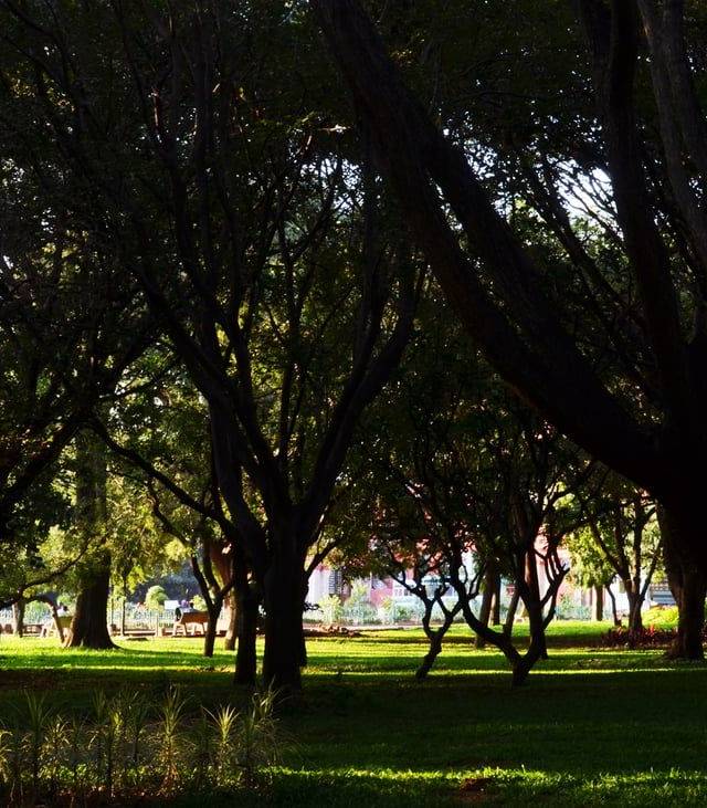 Cubbon Park in Bangalore