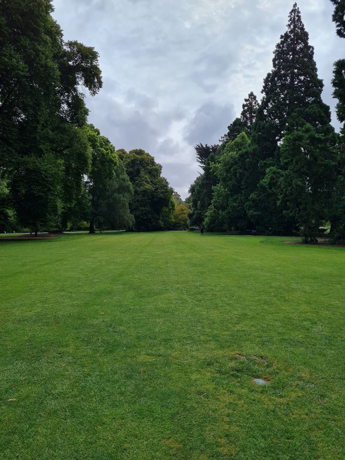 Christchurch Botanic Gardens and Hagley Park in Christchurch