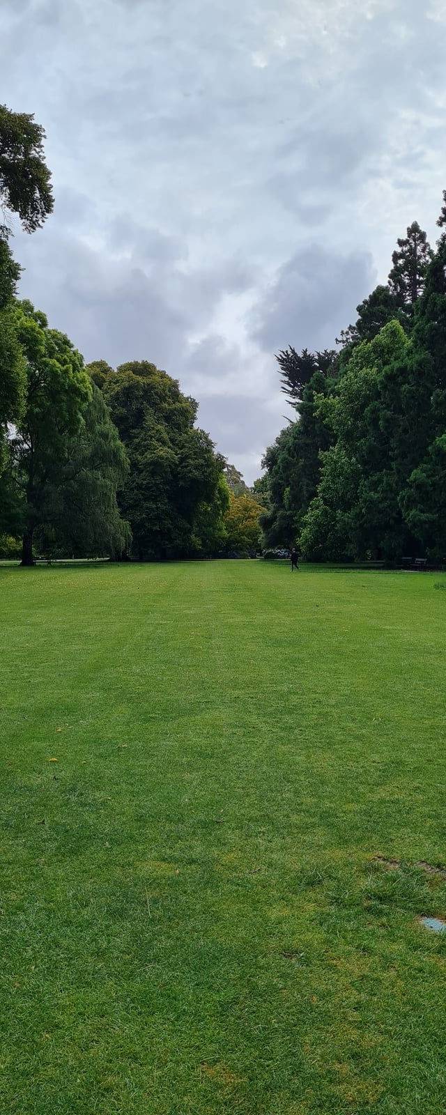 Christchurch Botanic Gardens and Hagley Park in Christchurch