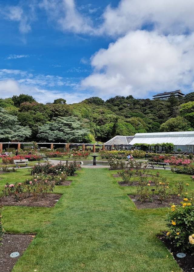Wellington Botanic Garden ki Paekaka in Wellington