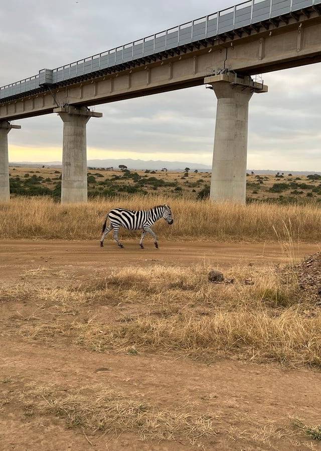 Nairobi National Park in Nairobi