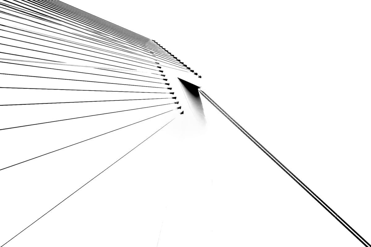 Erasmus Bridge in Rotterdam