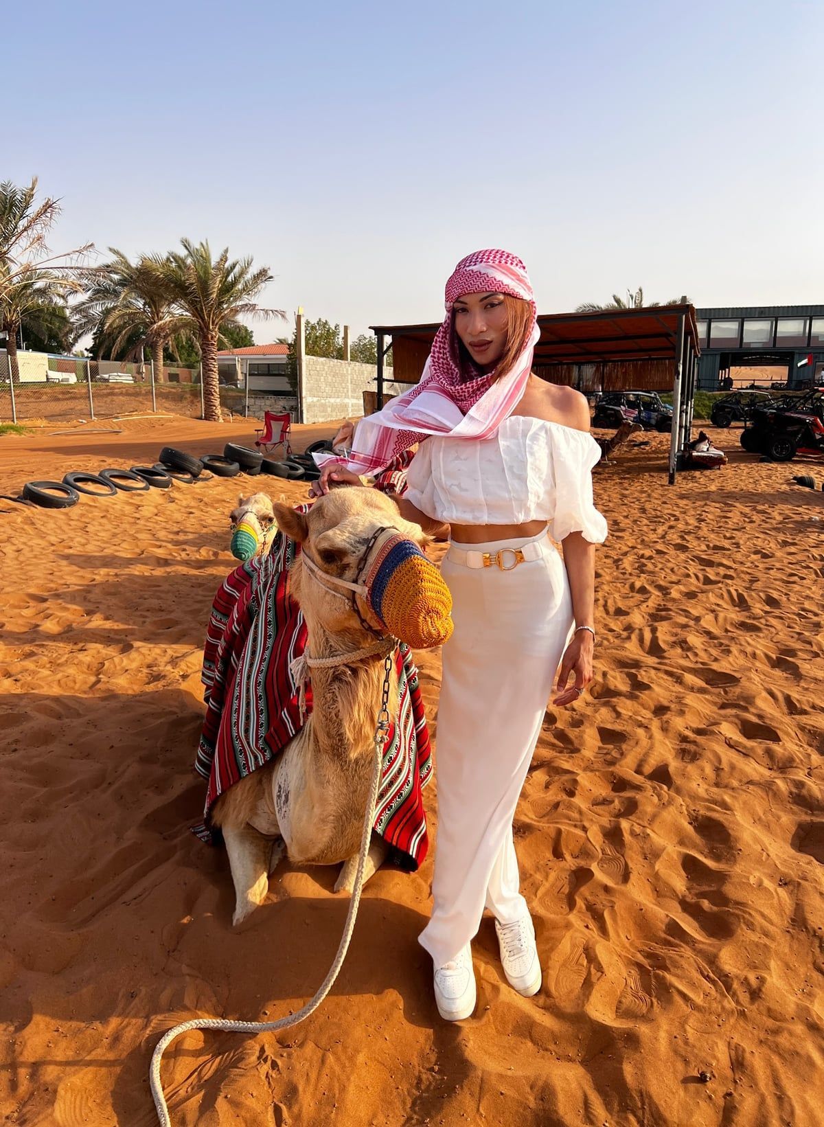 Desert safari (evening) in Dubai