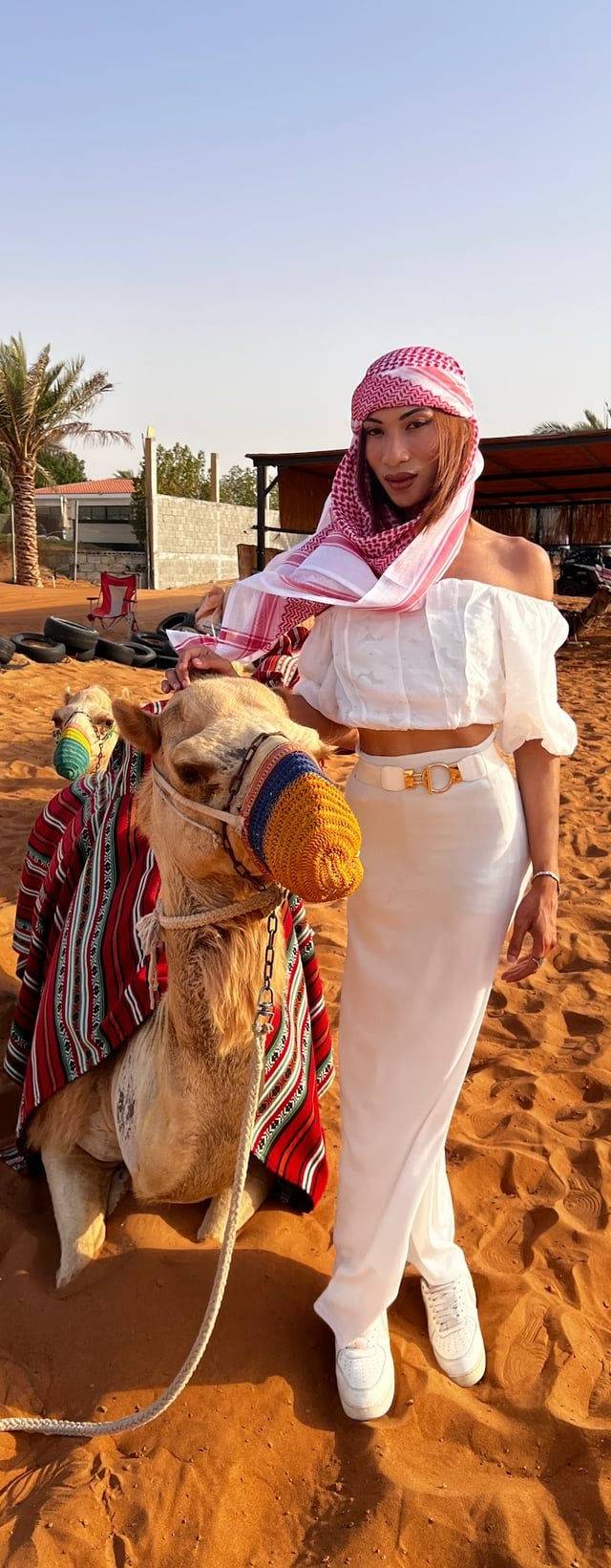 Desert safari (evening) in Dubai