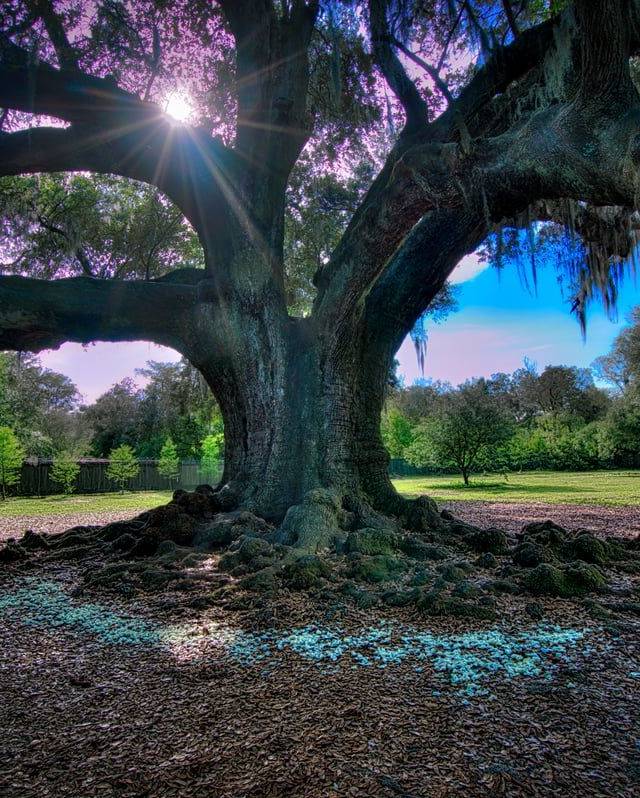 Audubon Park in New Orleans