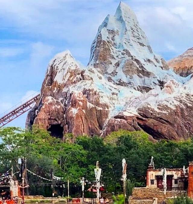 Disney's Animal Kingdom in Orlando