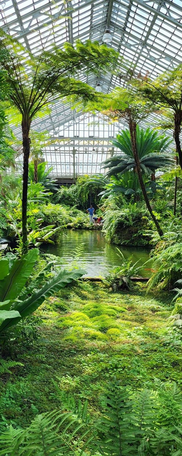 Garfield Park Conservatory in Chicago