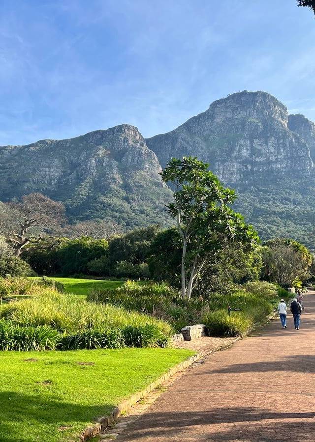 Kirstenbosch National Botanical Garden in Cape Town