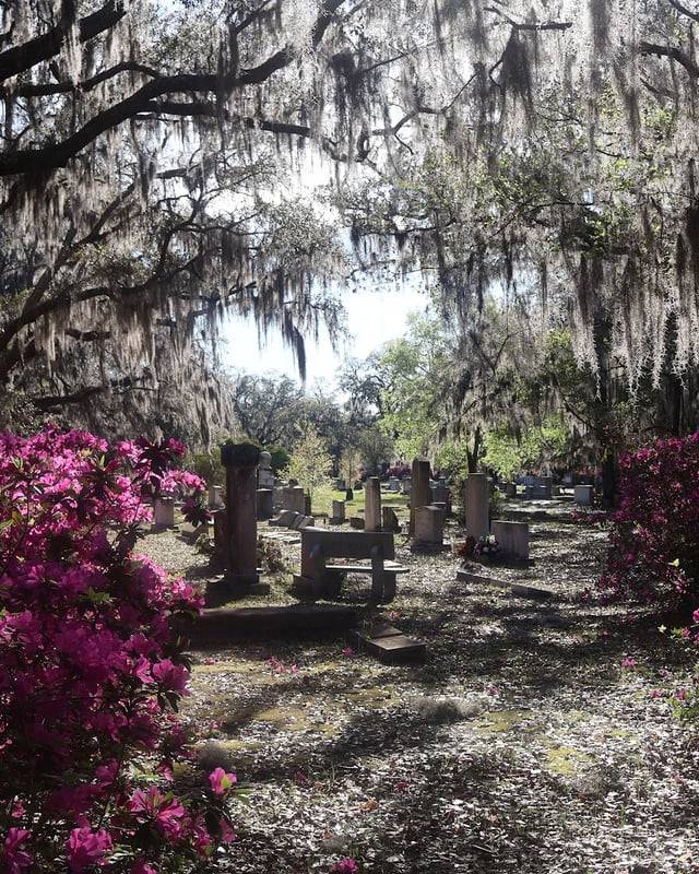 Bonaventure Cemetery in Savannah