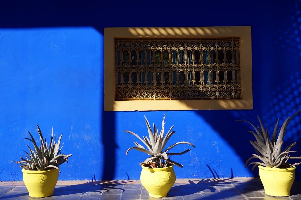 Jardin Majorelle and Yves Saint Laurent Museum in Marrakesh