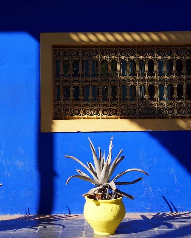 Jardin Majorelle and Yves Saint Laurent Museum in Marrakesh