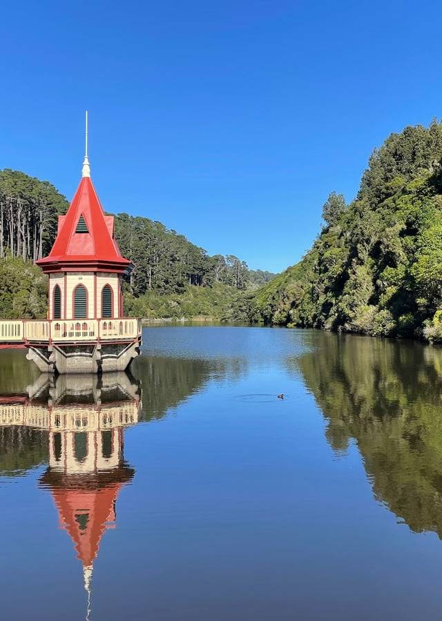 Zealandia Te Mara a Tane in Wellington