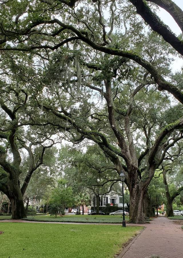 Savannah Historic District Squares in Savannah