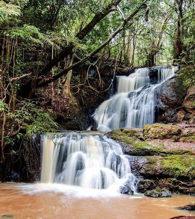 Karura Forest in Nairobi