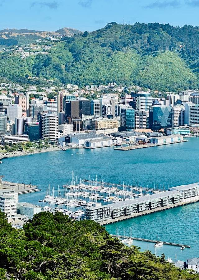Mount Victoria Lookout in Wellington