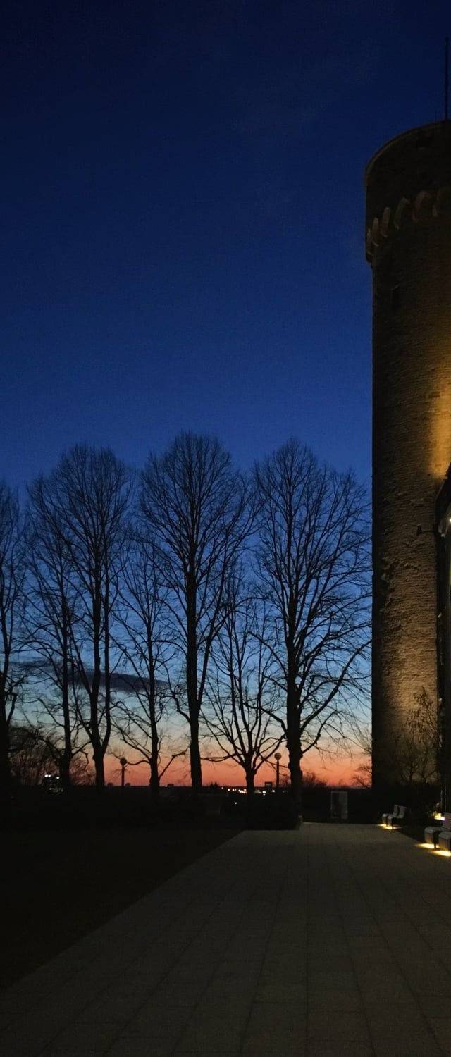 Toompea Castle in Tallinn