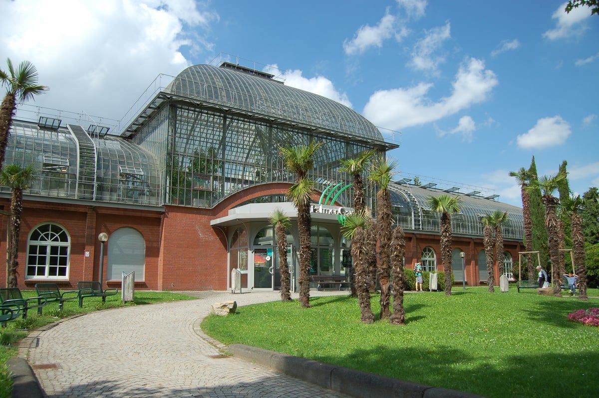 Palmengarten in Frankfurt